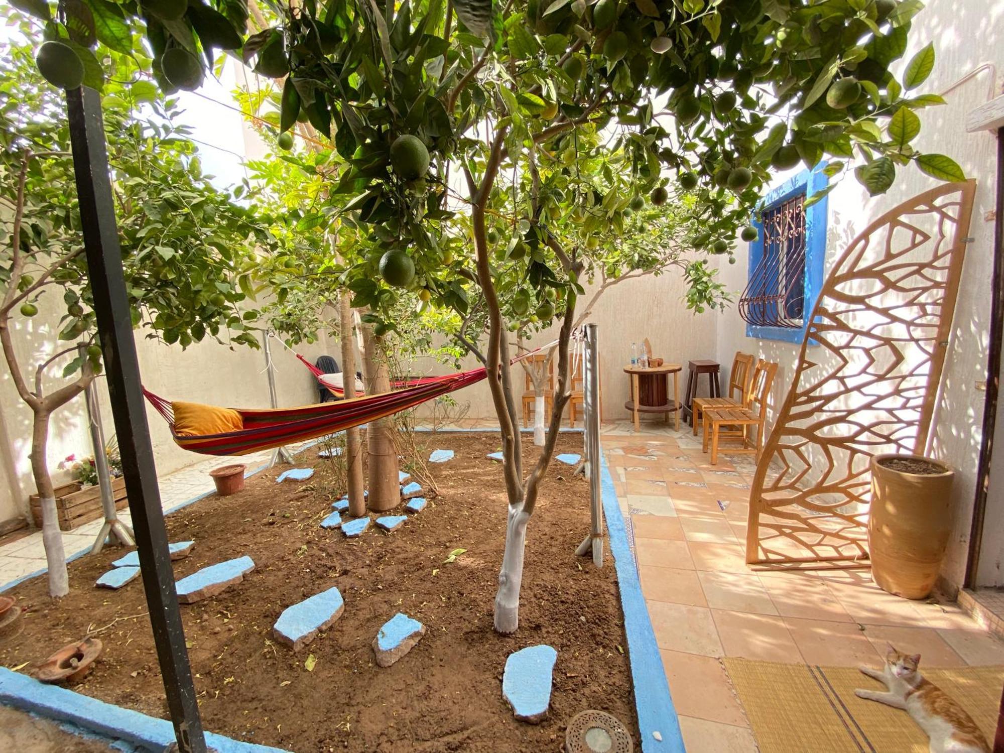 Red Carpet Surf Camp Sea, Mountain & Garden Escape Hotell Tamraght Exteriör bild